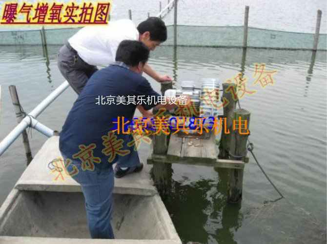 小龍蝦養(yǎng)殖微孔增氧高壓鼓風機