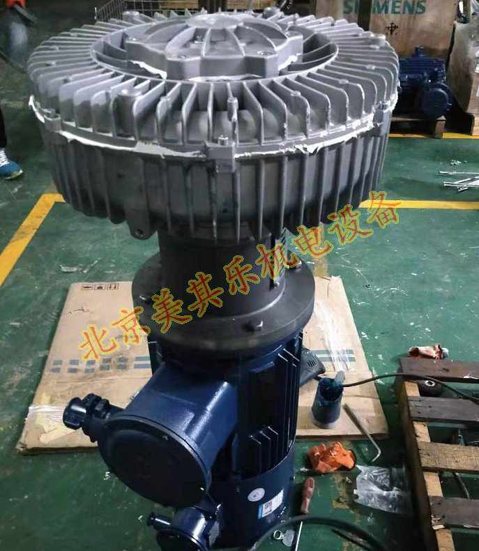 變頻防爆鼓風(fēng)機(jī)專業(yè)定制